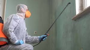 Why You Should Choose Our Mold Remediation Services in Norton Center, MA